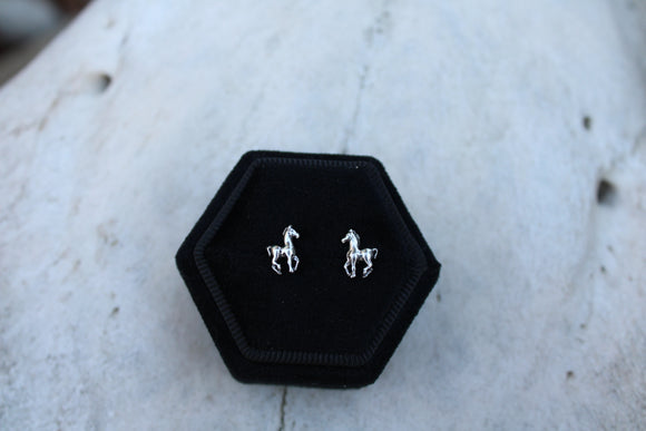 Pony Studs